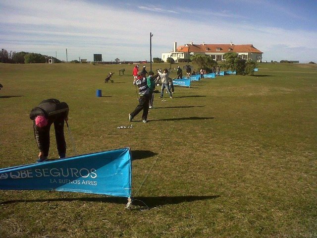 Cardón Miramar Links