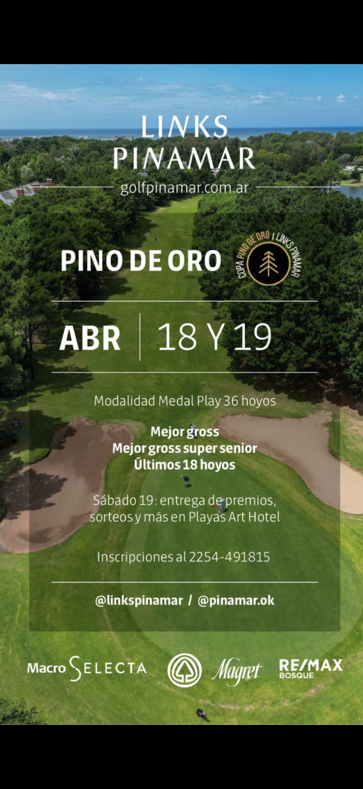 Pino de Oro